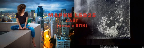 хмурый Арсеньев