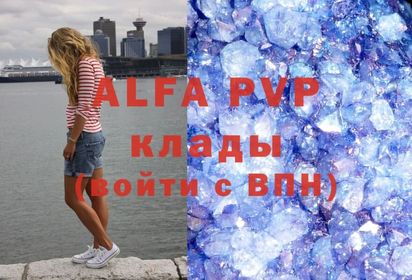 хмурый Арсеньев