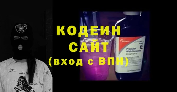 хмурый Арсеньев