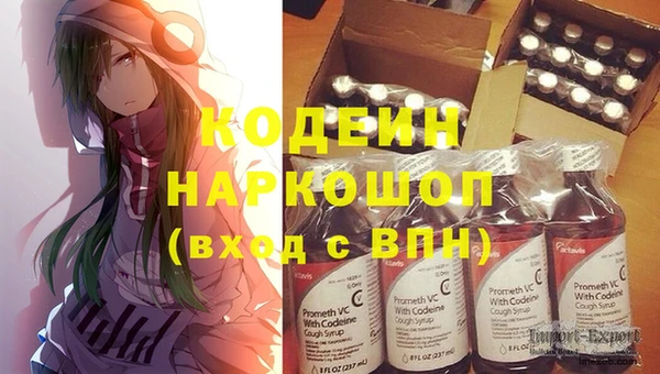 хмурый Арсеньев