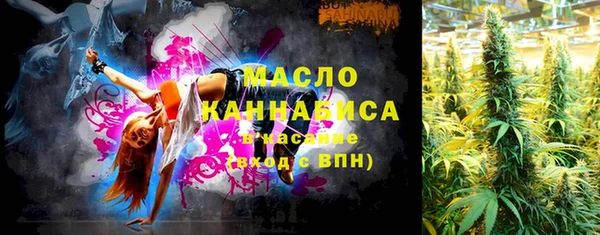 хмурый Арсеньев
