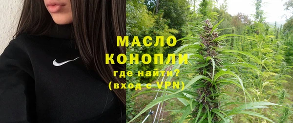 хмурый Арсеньев