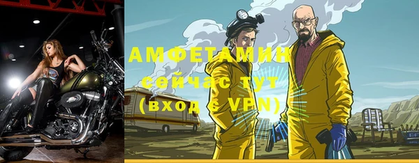 хмурый Арсеньев