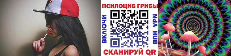 где купить   Салехард  Псилоцибиновые грибы GOLDEN TEACHER 